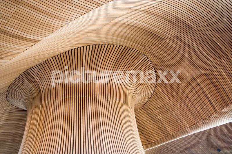 Ceiling details of Welsh Assembly Government Building. Reflecting the forms of a sandy beach.