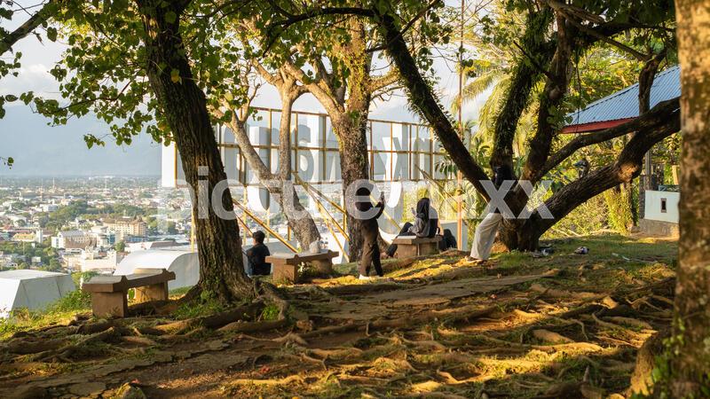 People relaxing under shade trees with scenic city view in golden sunlight, enjoying leisure time on benches at hillside park with urban skyline and mountain backdrop., 10.06 MB, <<>> MB1