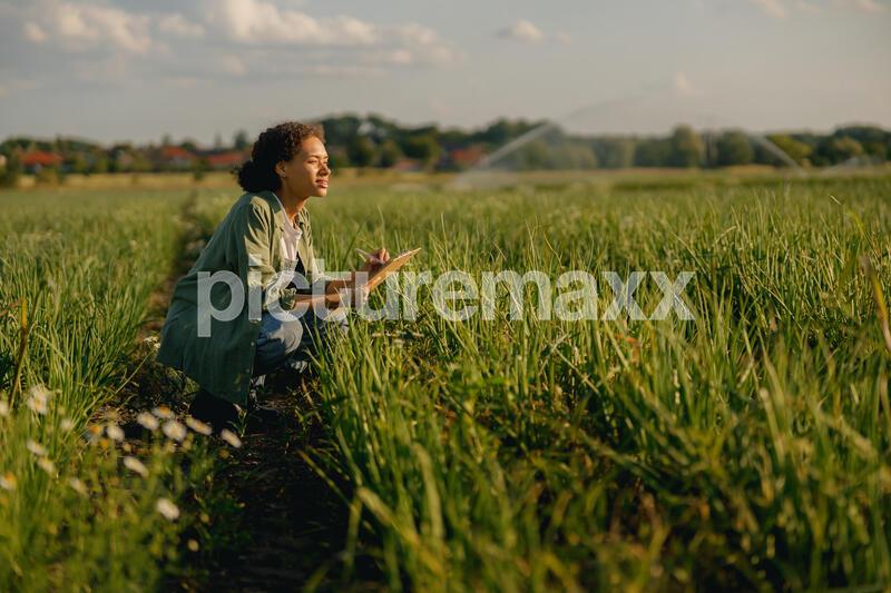 Woman farmer in uniform working on field during harvest. Agricultural activity