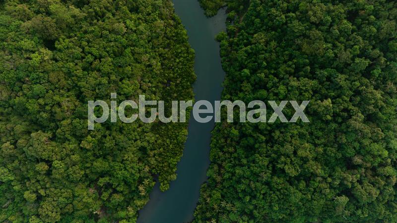 Aerial view of dark green forest and river. Rich natural ecosystem of rainforest. concept of natural forest conservation