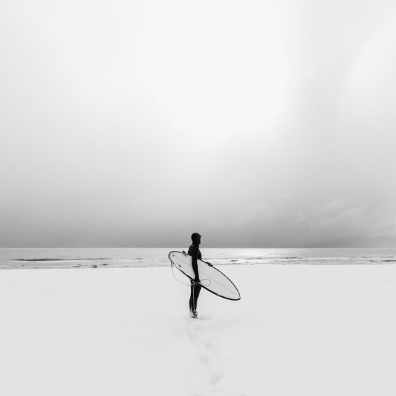 adobestock_406727710.jpg